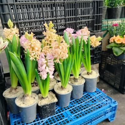 Прикрепленное изображение: IMG_20240226_130027_431.jpg